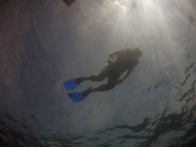  snorkeling in superficie 